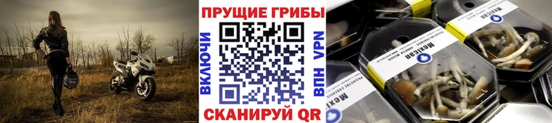 Галлюциногенные грибы мицелий  сколько стоит  Беломорск 